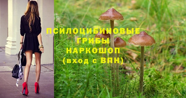 гидропоника Кущёвская