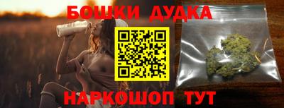 PSILOCYBIN Гатчина