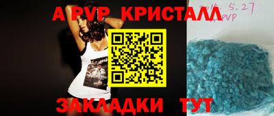 PSILOCYBIN Гатчина