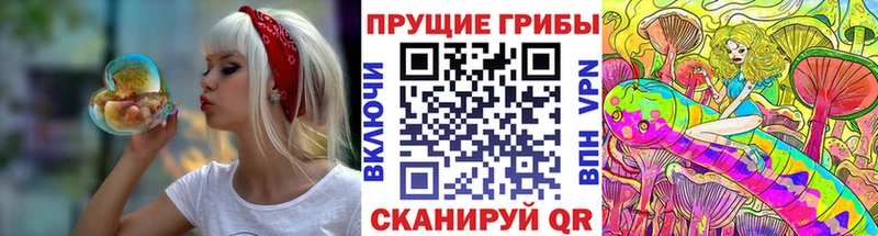цена наркотик  Заринск  Псилоцибиновые грибы мухоморы 
