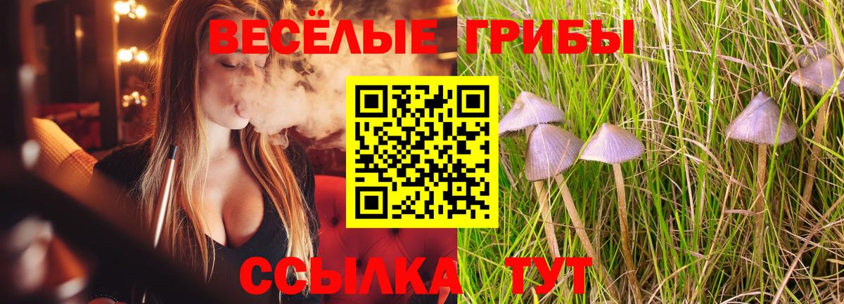 Псилоцибиновые грибы Magic Shrooms  Вход с VPN  Заринск 